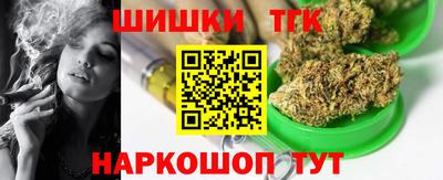 СК Кингисепп