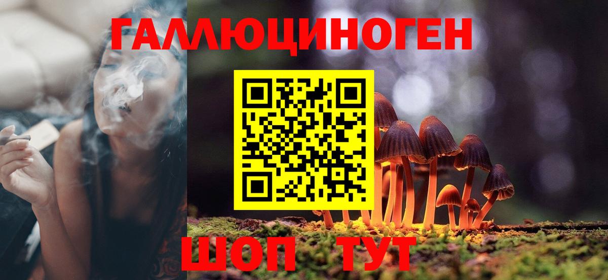 Кисловодск  Галлюциногенные грибы Psilocybine cubensis  Вход с VPN 